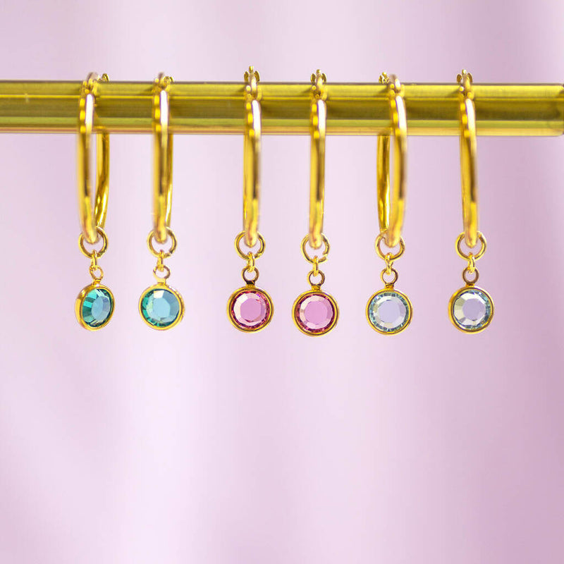 Image shows a mix of Birthstone Charm Hoop Earrings 