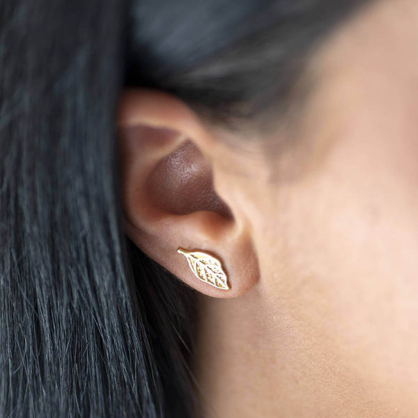 Image shows model wearing gold leaf stud earring