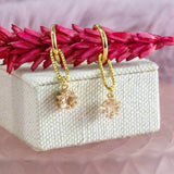 Image shows Champagne Star Dainty Hoop Earrings on a white box.