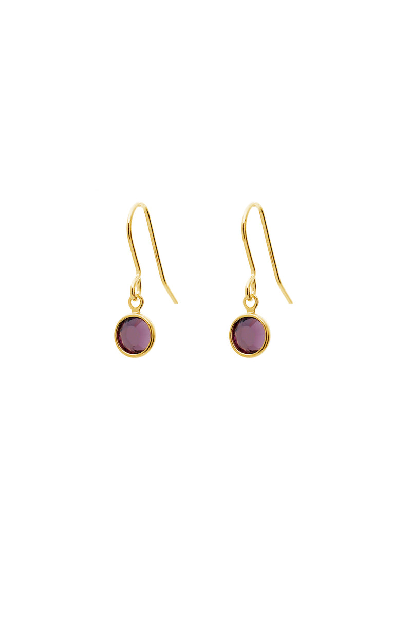 February Birthstone Crystal Drop Earrings Gold Plated
